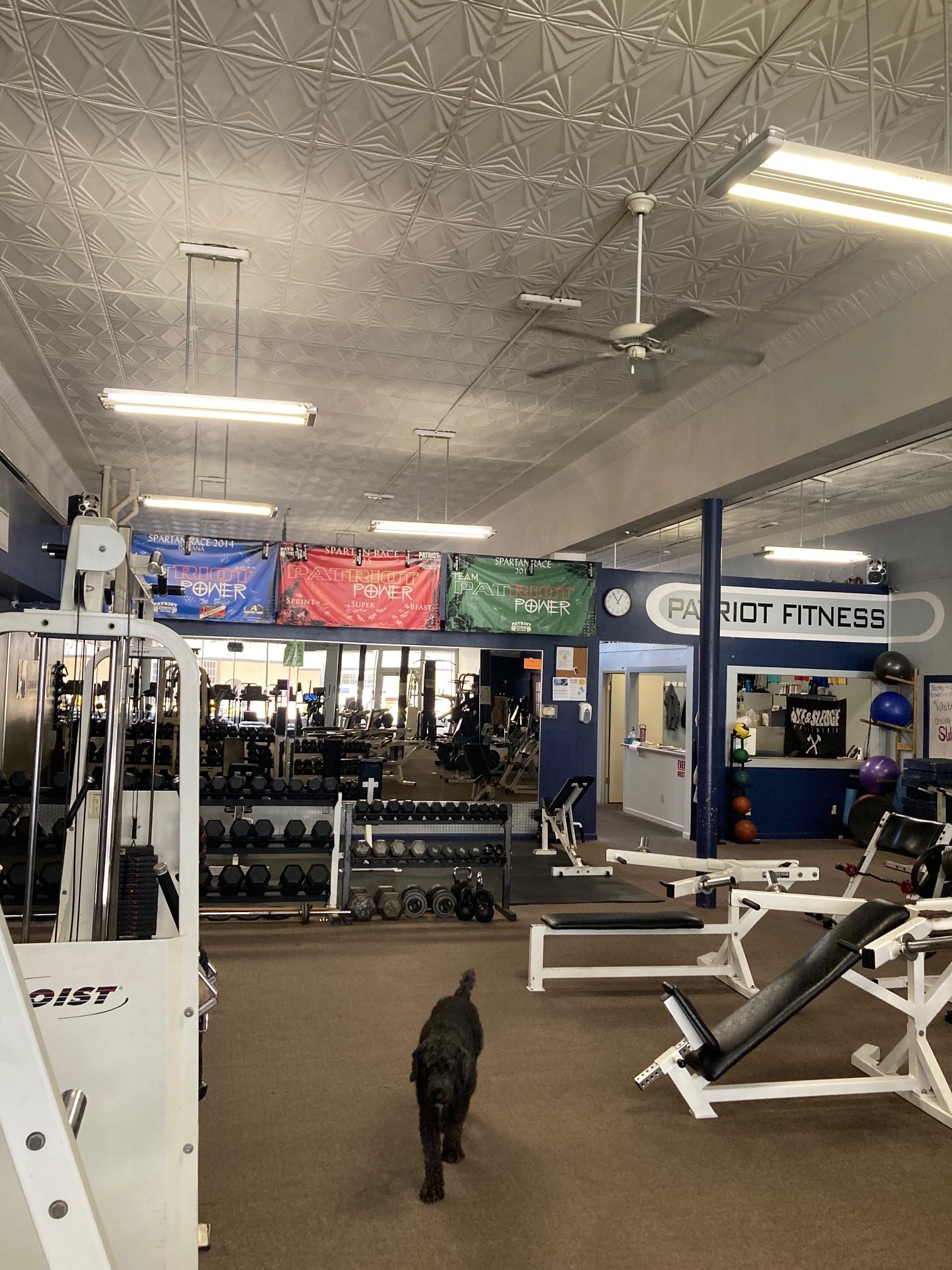 Main Area